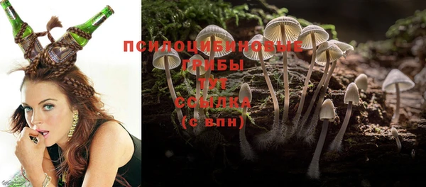 гидра Абдулино