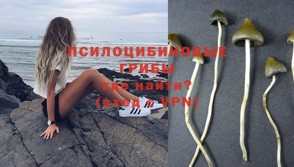 дживик Нефтекумск
